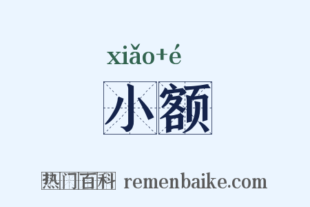 小额是什么意思的图片